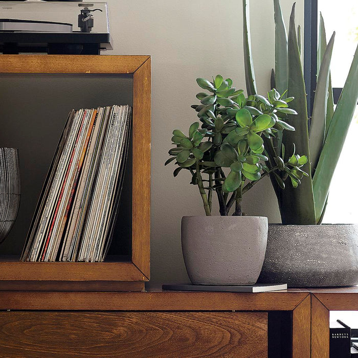 Decorate Your Home With Planters and Botanicals