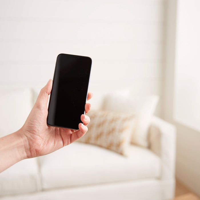 Basics You Need to Know When Buying Furniture