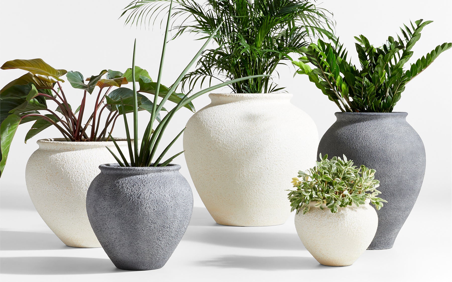 A Green Thumb's Guide to Choosing the Perfect Planters