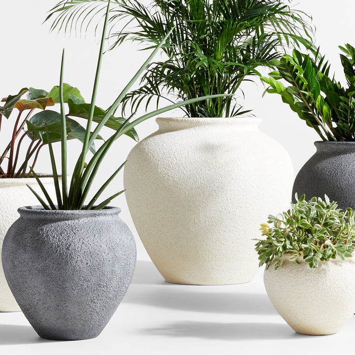 A Green Thumb's Guide to Choosing the Perfect Planters