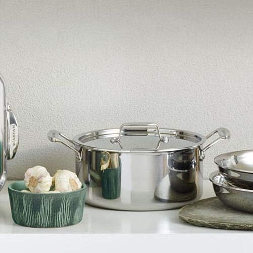 Scanpan Fusion 5 with Dutch Oven with Lid 20cm/3.7L