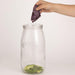 Kilner Fermentation Set in Gift Box