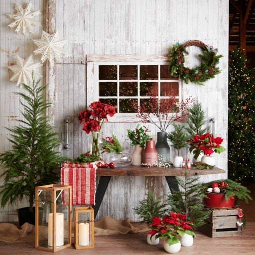 Potted Faux Red Poinsettia