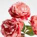 Faux Pink Peony Stem 24" by Abigail Ahern