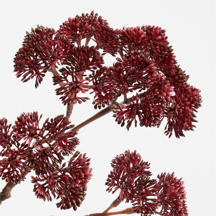 Faux Sedum Stem 23" by Abigail Ahern