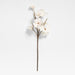 Faux Blooming Magnolia Stem 41" by Abigail Ahern
