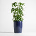Belize Blue Reactive Glaze Indoor/Outdoor Planter 24"x17"
