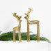 Brass Finish Holiday Reindeer Decoration 10.5"