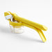 Crate & Barrel Citrus Squeezer with Measuring Cup