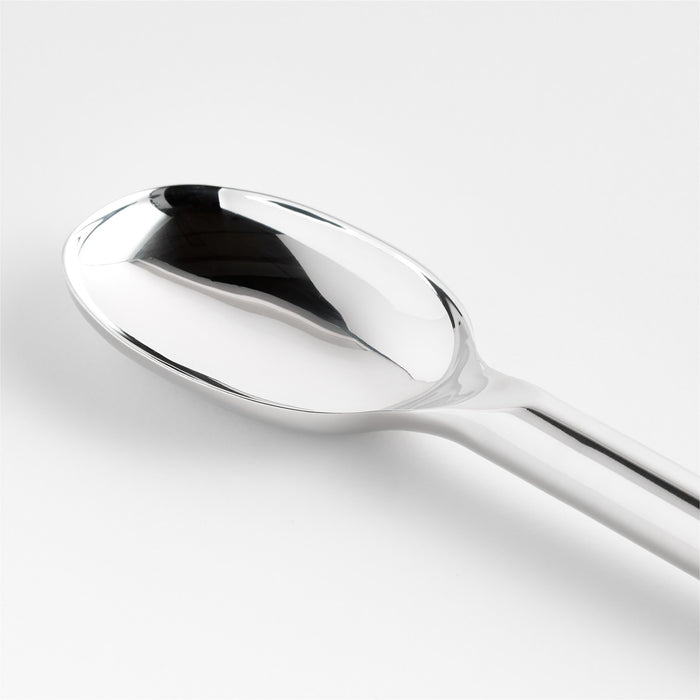 Crate & Barrel Stainless Steel Serving Spoon