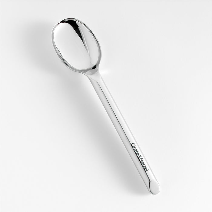 Crate & Barrel Stainless Steel Serving Spoon