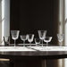 A Coste Tall Optic Wine Glass by Athena Calderone