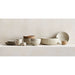 Dawson 7.75-oz. Recycled Clay Cappuccino Mug by Gaby Dalkin