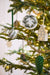 Green & White Ceramic Christmas Ornament, Set of 6