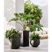 Junio Tall Dark Grey Planter 18.1"