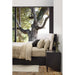 Casa Black Oak Wood Queen Storage Bed with Outlet
