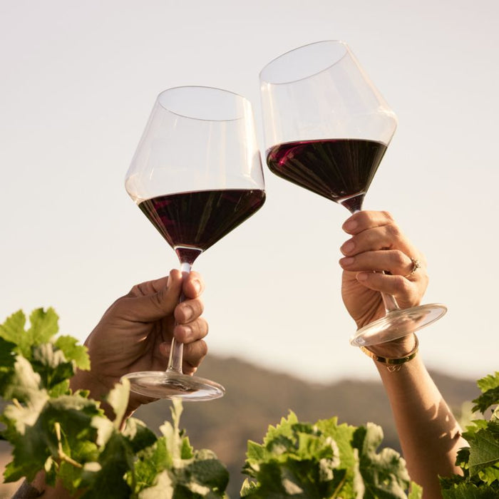 Schott Zwiesel Tour 24-Oz. Red Wine Glass