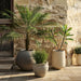 Havana White Footed Indoor/Outdoor Planter 12"x16"