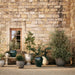 Havana White Footed Indoor/Outdoor Planter 12"x16"