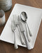 Caesna Mirror Serving Tongs