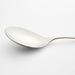 Caesna Mirror Wide Serving Spoon