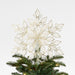 Capiz Shell Snowflake Christmas Tree Topper