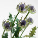 Faux Blue Sea Holly Stem 27"