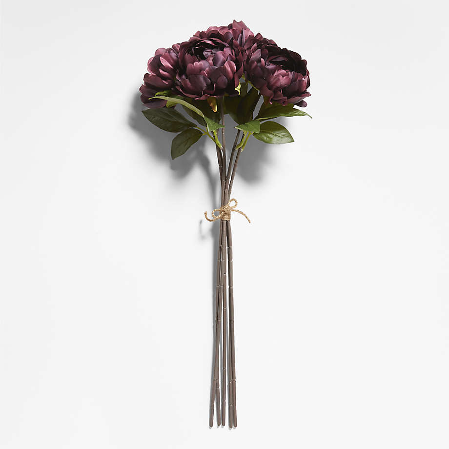 Botanicals