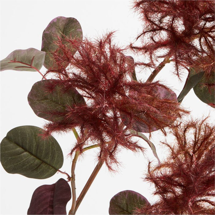 Faux Flowering Smokebush Stem 44"
