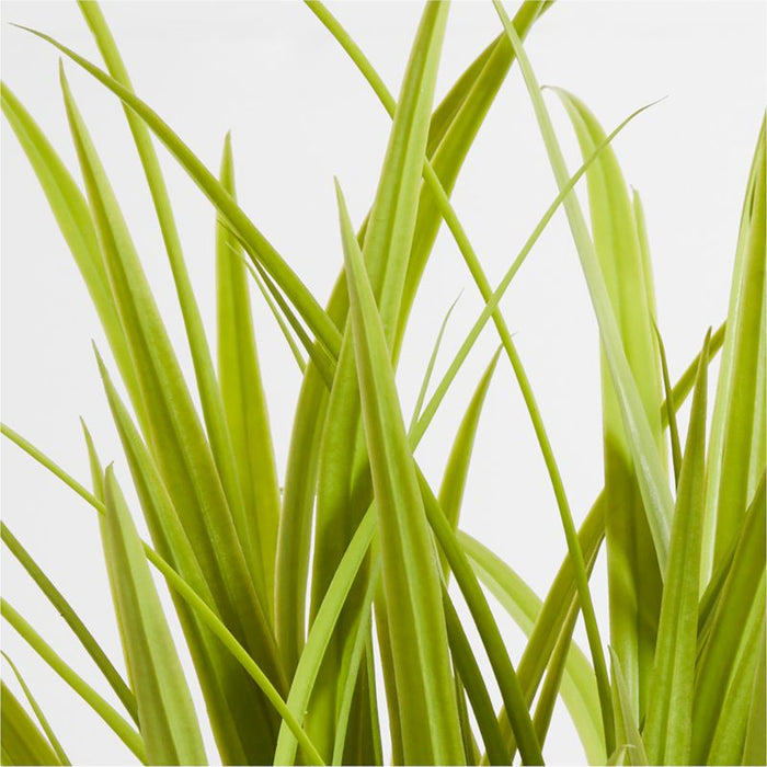 Faux Green Yucca Spray 46"