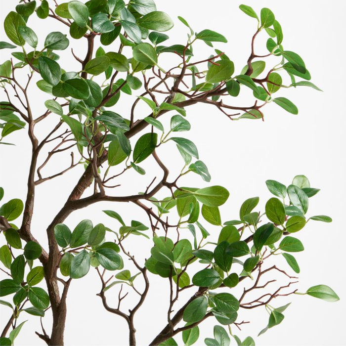 Faux Manzanita Leaf Spray 51"