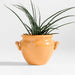 Genoa Small Tuscan Yellow Italian Ceramic Indoor/Outdoor Planter 10"x9.5"
