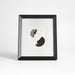 Icon 5x7 Black Picture Frame