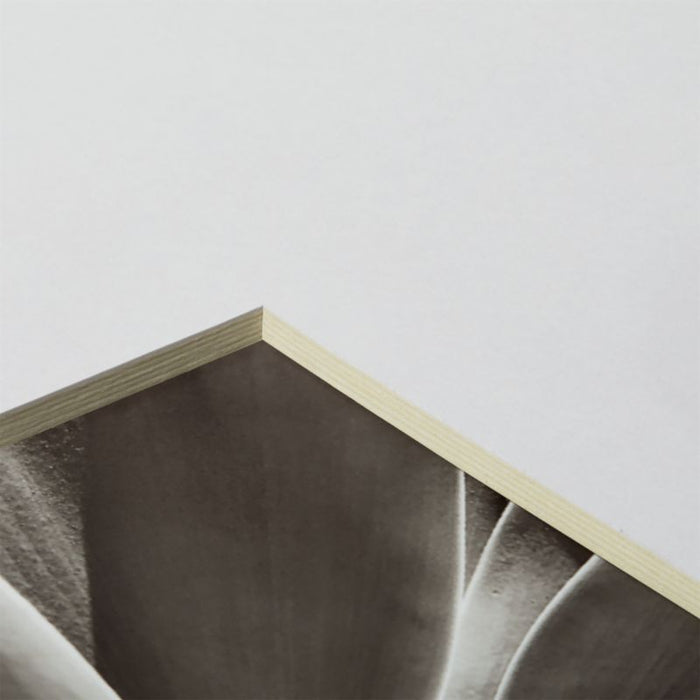 Icon Wood 8x10 Black Wall Picture Frame