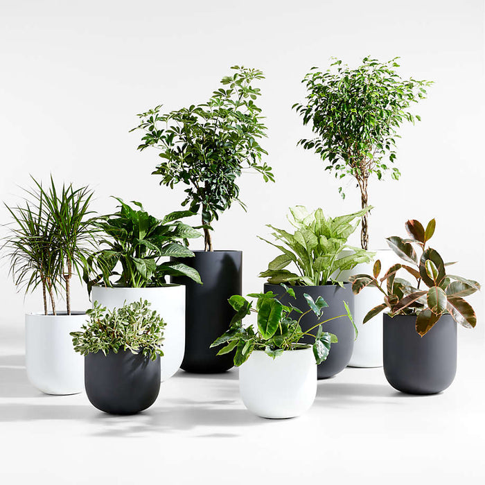 Junio Tall Dark Grey Planter 18.1"