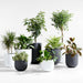 Junio Tall Dark Grey Planter 18.1"