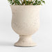 Malta Ivory Urn Indoor/Outdoor Planter 22.1" x 17.3"
