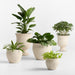 Malta Ivory Urn Indoor/Outdoor Planter 22.1" x 17.3"