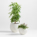 Messina White Textured Indoor/Outdoor Planter 21"x21"