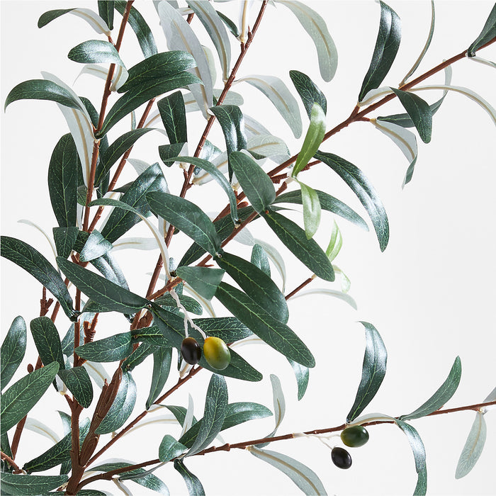 Extra-Large Faux Olive Stem 72"