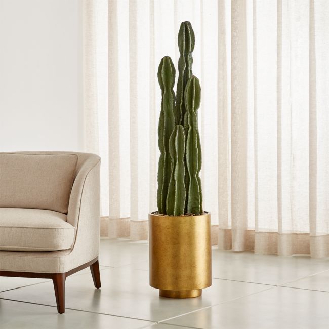 Faux Tall Potted Cactus Plant Crate and Barrel Philippines