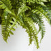 Potted Faux Fern 28"