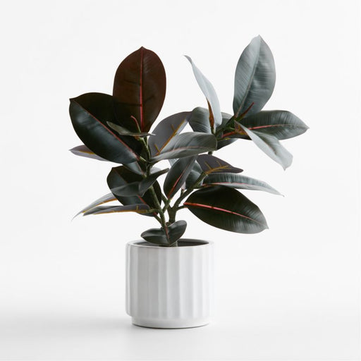 Potted Faux Rubber Tree 16"