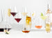 Schott Zwiesel Tour 18-Oz. Highball Glass