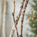 Twinkle Gold 30' Outdoor String Lights