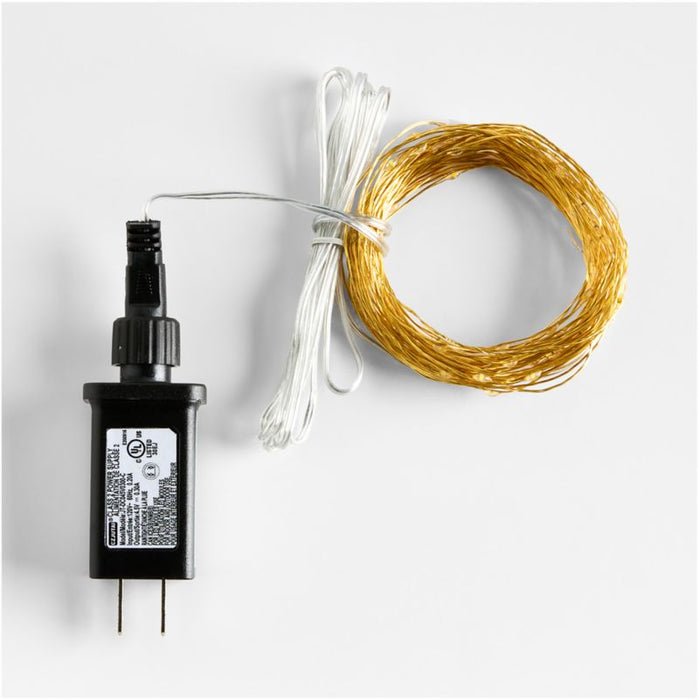 Twinkle Gold 30' Outdoor String Lights