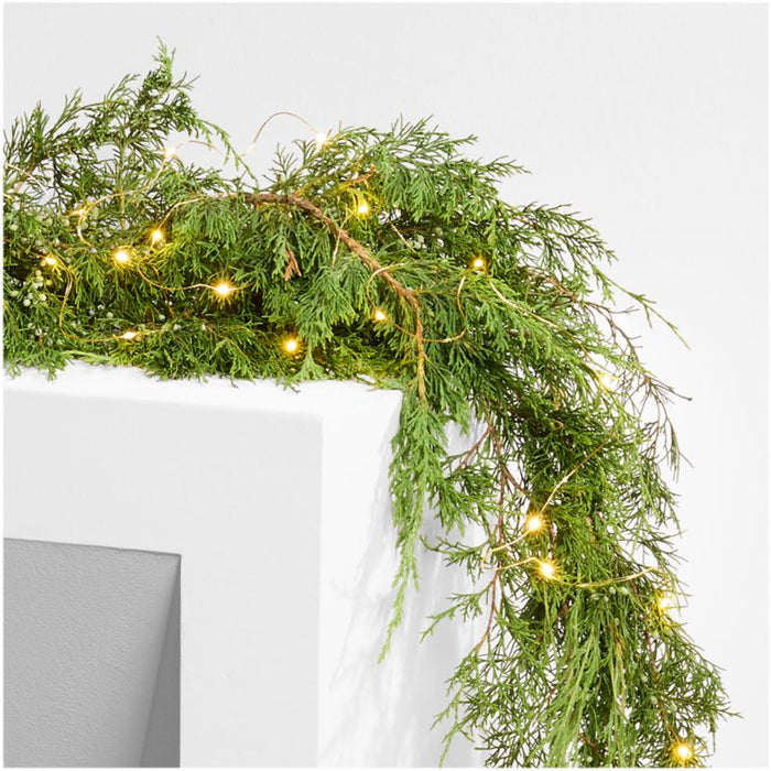 Twinkle Gold 30' Outdoor String Lights