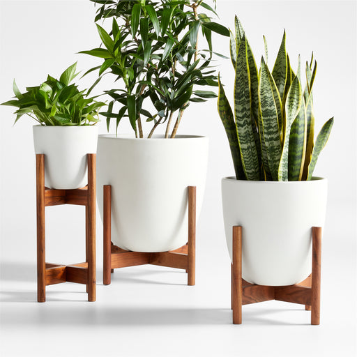 Willis Plant Stand Medium