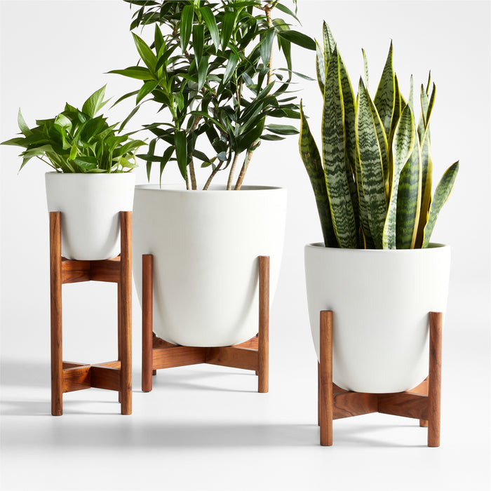 Willis Plant Stand Medium