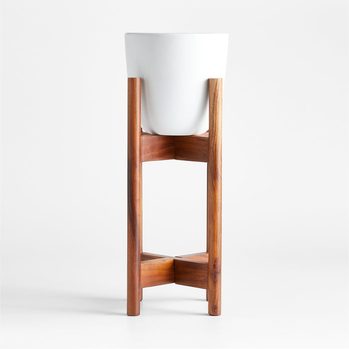 Willis Plant Stand Tall